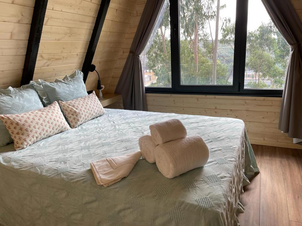 Medronho D'Ouro Bungalows Foz do Sousa 외부 사진